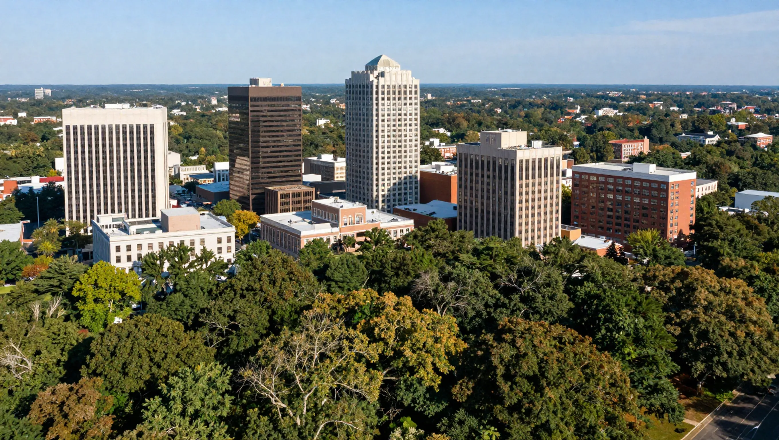 Custom website design — Raleigh, NC