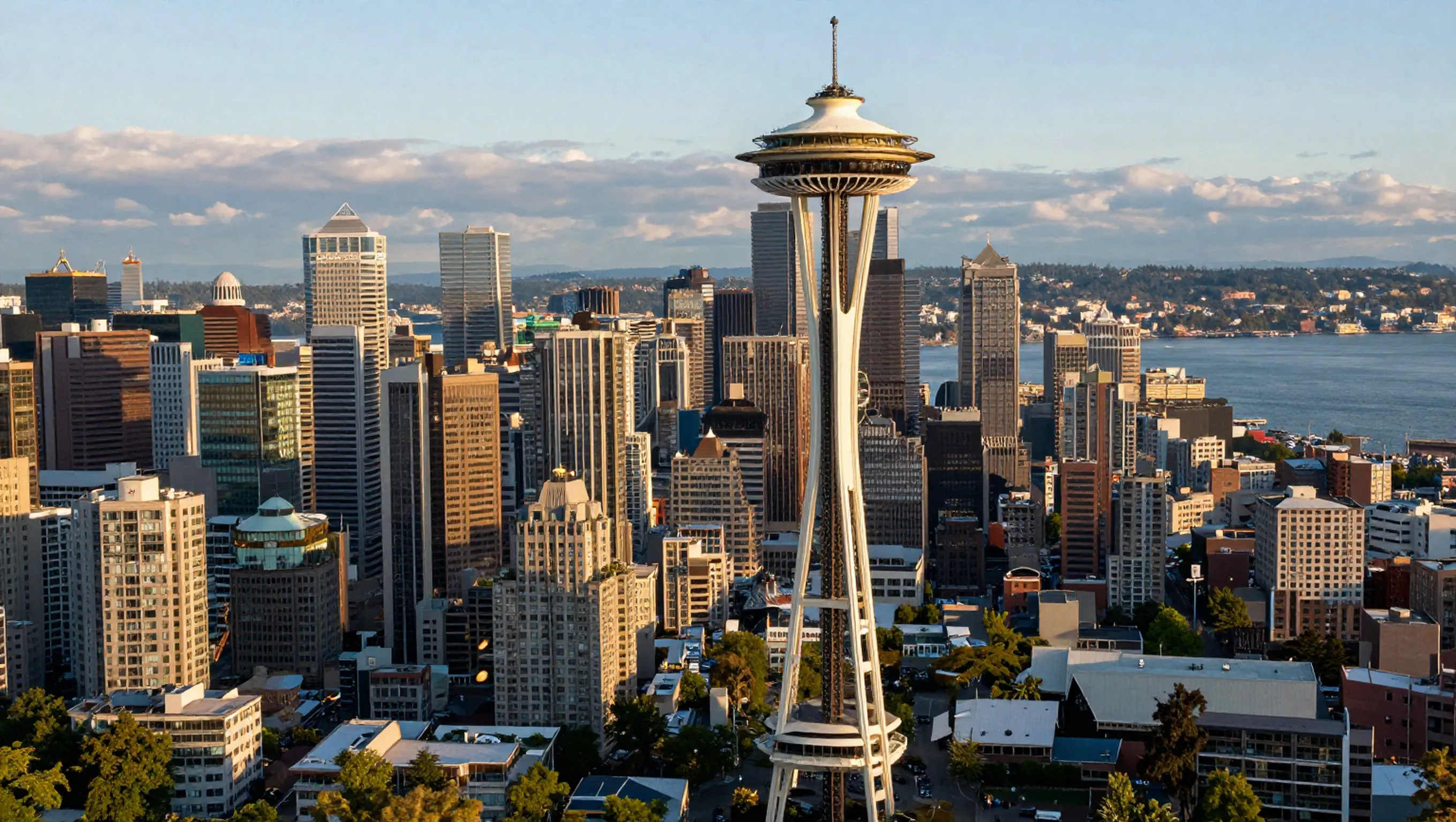 Custom website design — Seattle, WA