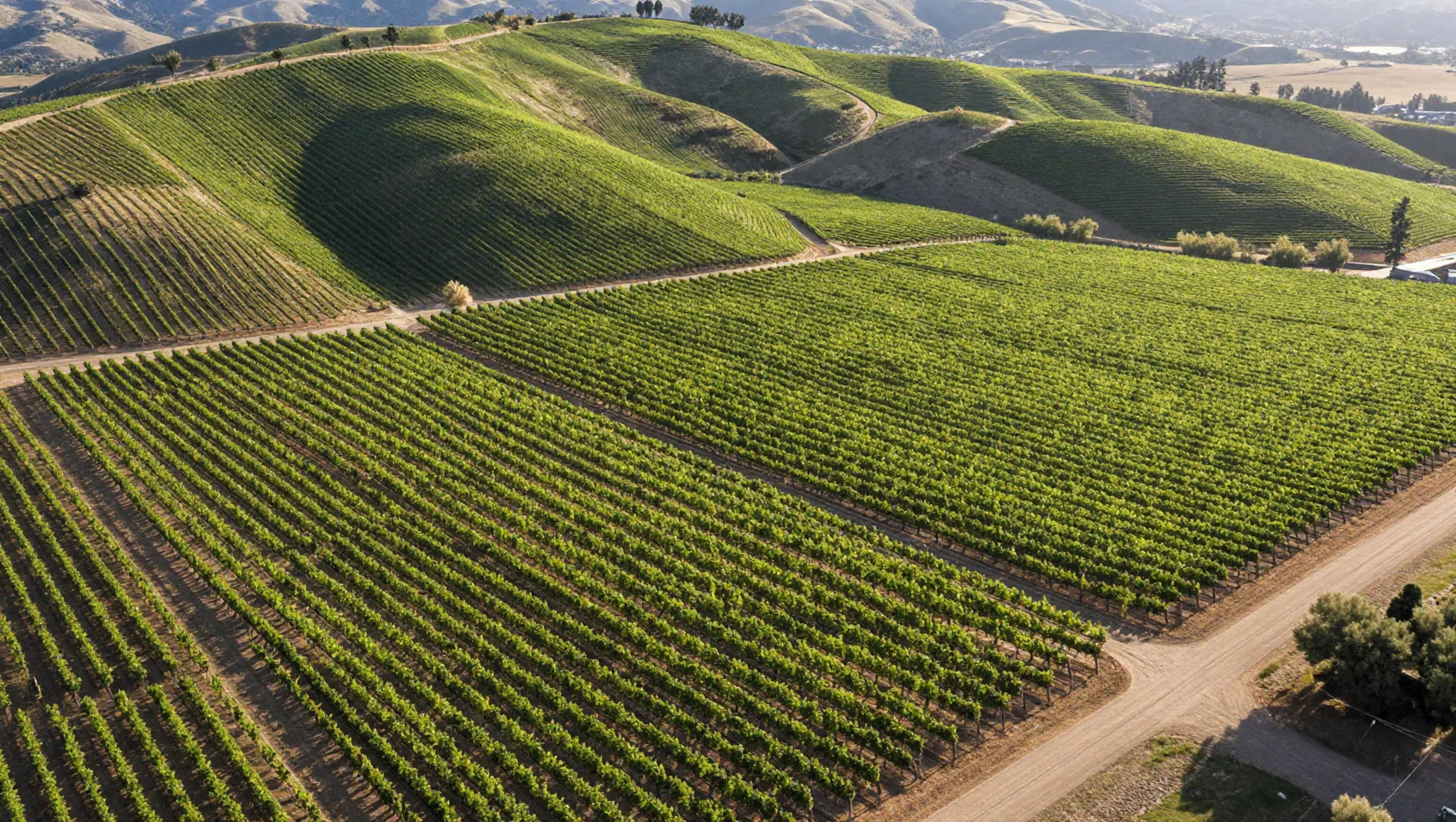 Custom website design — Temecula, CA